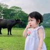 暖风吹怀