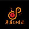草莓DJ音乐