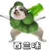 一朵西蓝花🥦