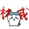 呀哈哈