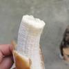 生活自理指南