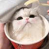 你的方方面