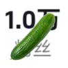 什么黄瓜花我44元（庆1.0万粉）