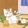 老猫老师