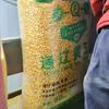 诚信粮贸-湖北色选玉米