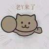 老Y来了