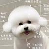 小布丁芋.org