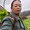 贵州憨姑