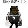 58炮篮球（马刺总冠军）