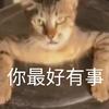 三角洲行动（熊仔崽）