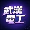 武汉电工电路（电缆故障检测定位）