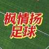 枫情扬足球