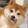 万俟仄凡