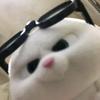 小浣熊干脆面