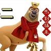 雾面塑料