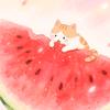 西瓜喵喵