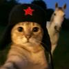 拉乐的猫meme