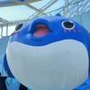 腾皇达