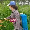 农村小芳