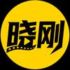 晓刚电影