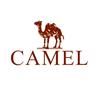 会东骆驼户外CAMEL