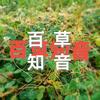 百草知音（科普）