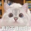 吱吱