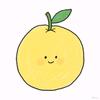 柚子简笔画