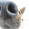 音乐百分百