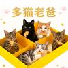 多猫老爸