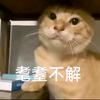 Nori工作室