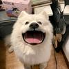 我不是一个小逗逗