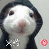 火药