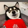 小黑