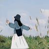 花未眠