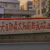 三喵铲屎官