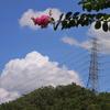 山 川