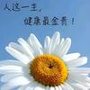 爱孵小鸡的惠安人😍