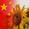 信仰