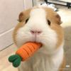 凡溪