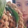 青崖小雨