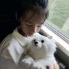 元宝秀秀🐾