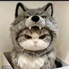 金闪闪（狗德猫腻爱喂玩）