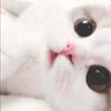 忧郁de乐乐