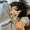 没什么好说的