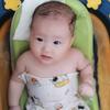 小燕子主页取娶图
