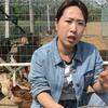 小娘子聊养鸡