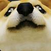 Doge不是屑