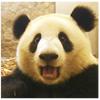 胖G的传奇
