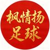 枫情扬足球
